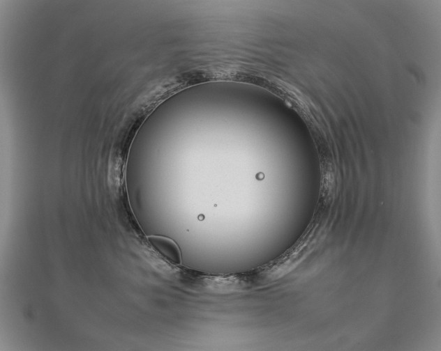 X0000112770525200908271644