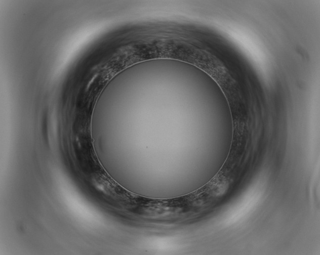 X0000112770526200908271644