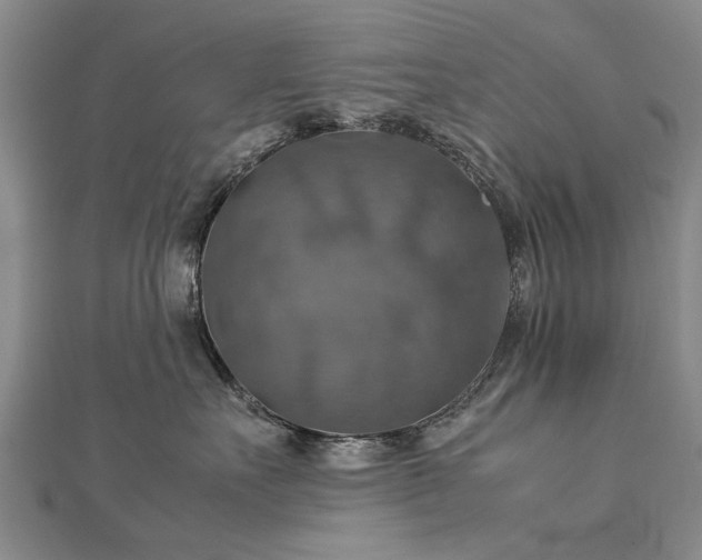 X0000112770527200908271644