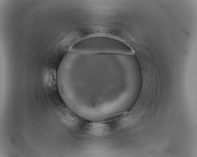 X0000112770528200908271644