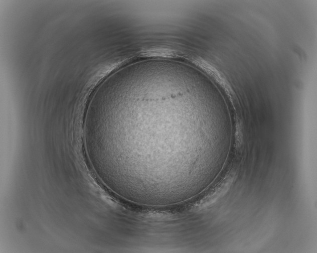 X0000112770529200908271643