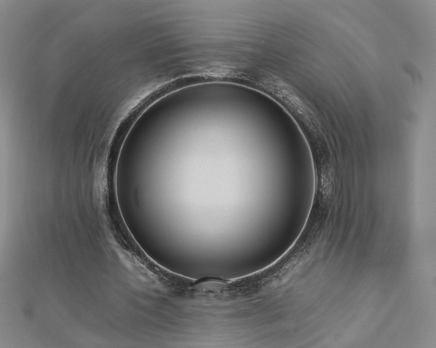 X0000112770532200908271643