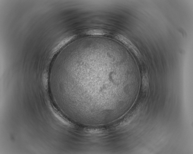 X0000112770533200908271643