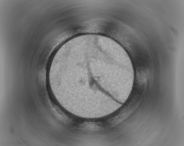 X0000112770534200908271643