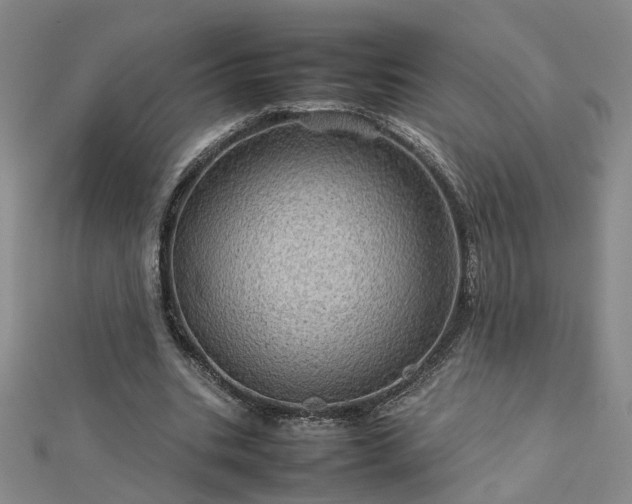 X0000112770535200908271643