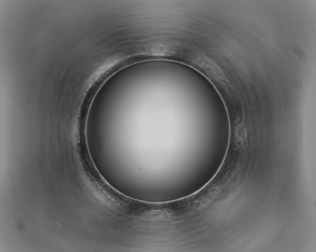 X0000112770536200908271643