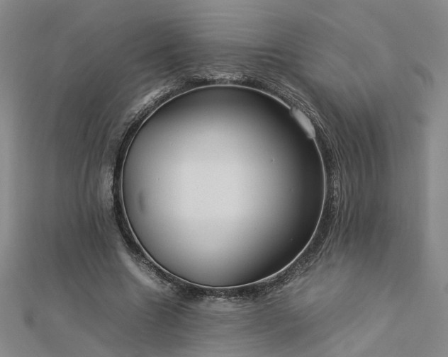 X0000112770538200908271643