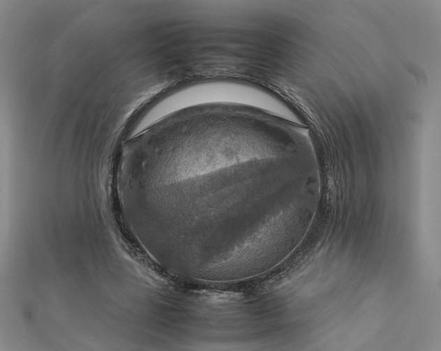 X0000112770539200908271643