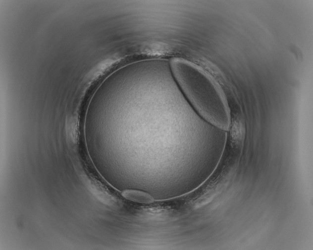 X0000112770540200908271643
