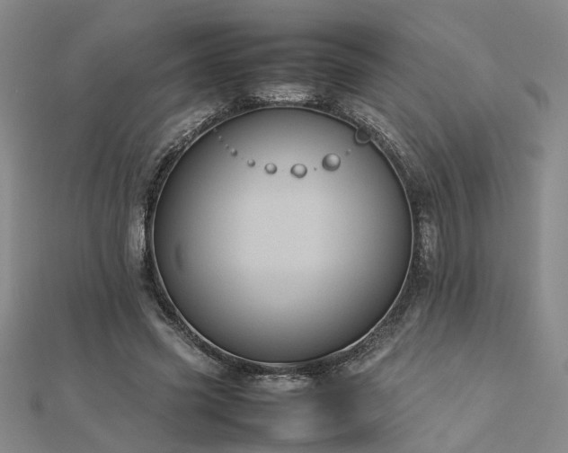 X0000112770541200908271643