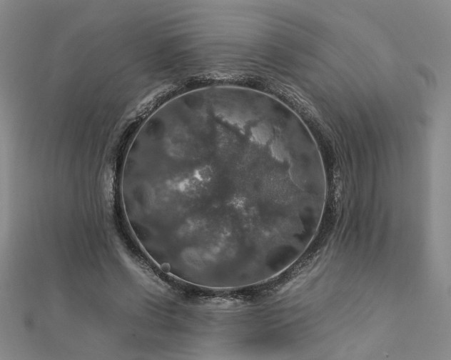 X0000112770542200908271643