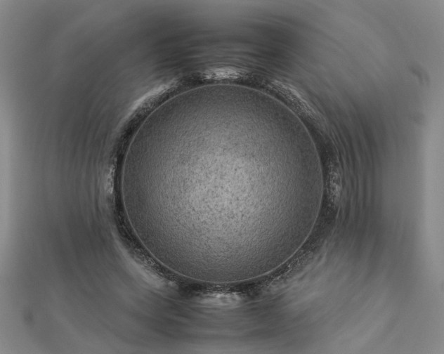 X0000112770543200908271643