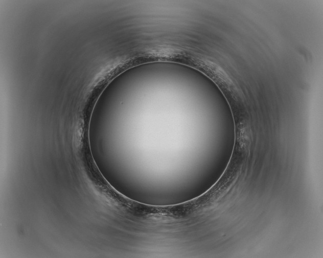 X0000112770544200908271643