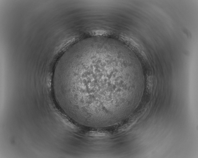 X0000112770545200908271643