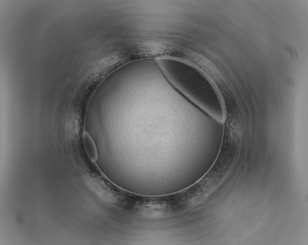 X0000112770546200908271644