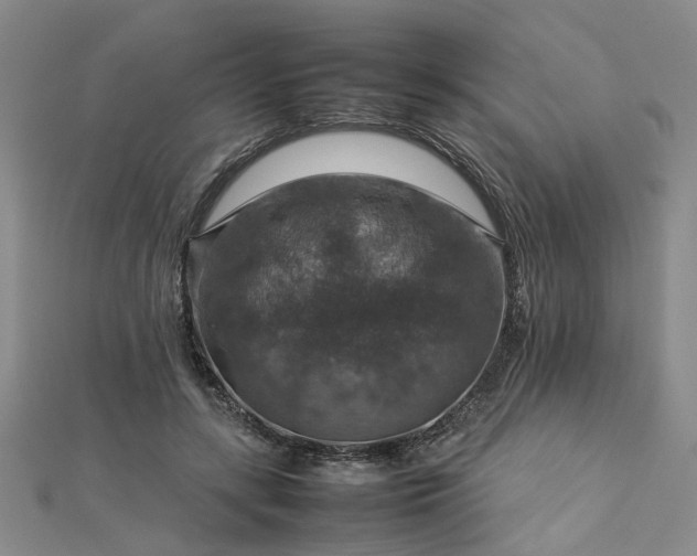 X0000112770547200908271644