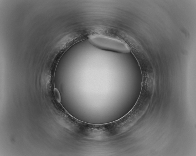 X0000112770548200908271644