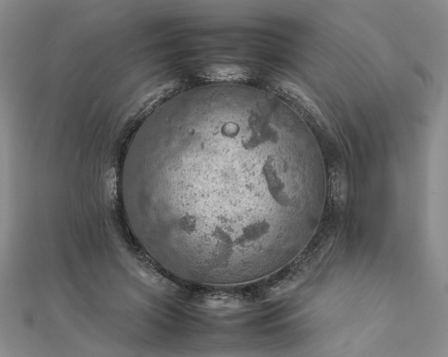 X0000112770549200908271644