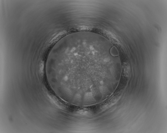 X0000112770550200908271644