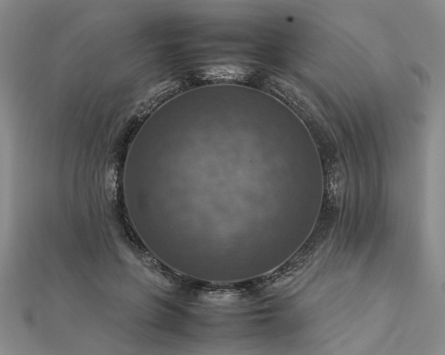 X0000112770551200908271644