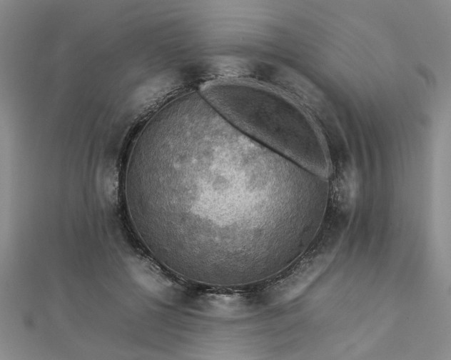 X0000112770552200908271644
