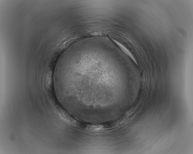 X0000112770554200908271644
