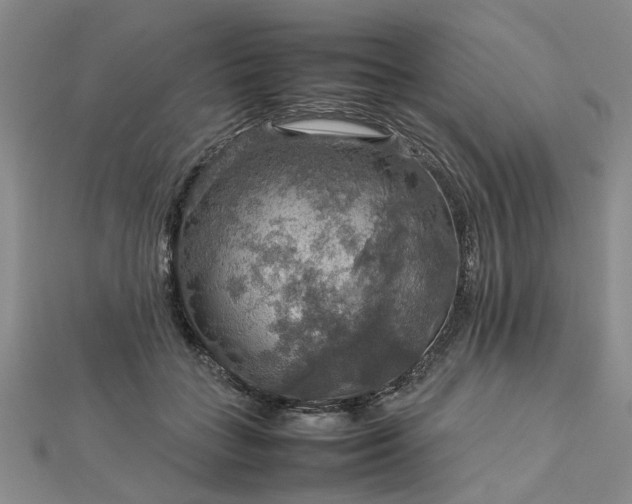 X0000112770555200908271644