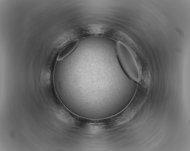 X0000112770556200908271644