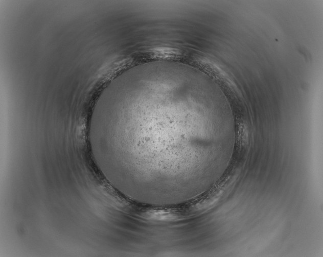 X0000112770557200908271644