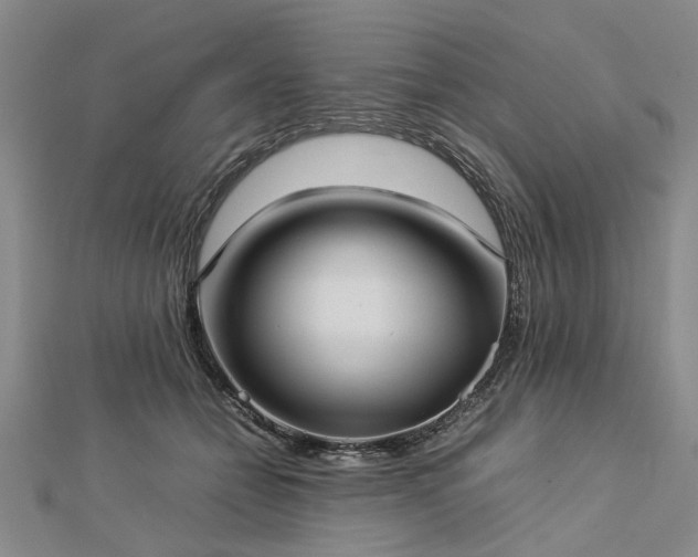 X0000112770558200908271644