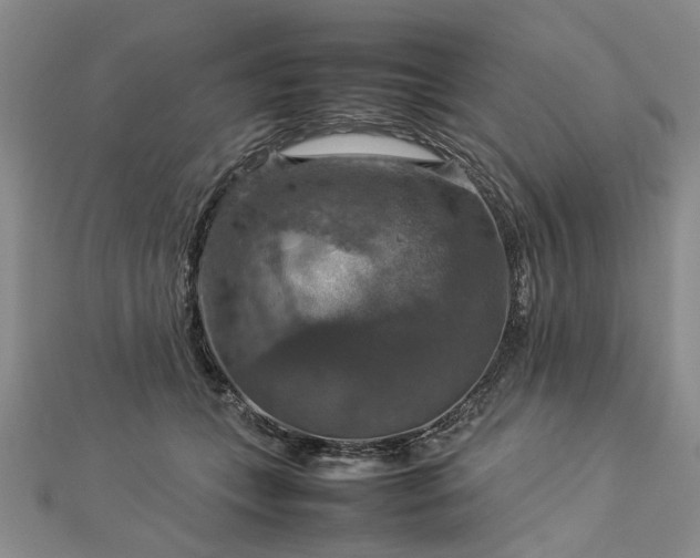X0000112770559200908271644