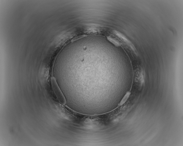 X0000112770560200908271644