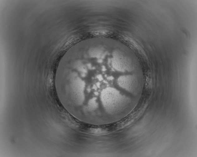 X0000112770561200908271644
