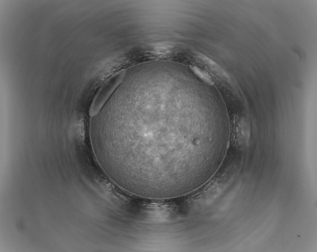 X0000112770562200908271644