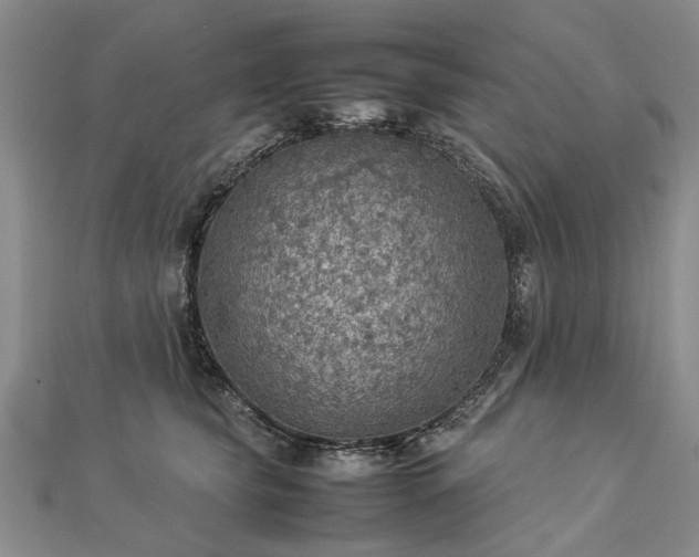 X0000112770565200908271644