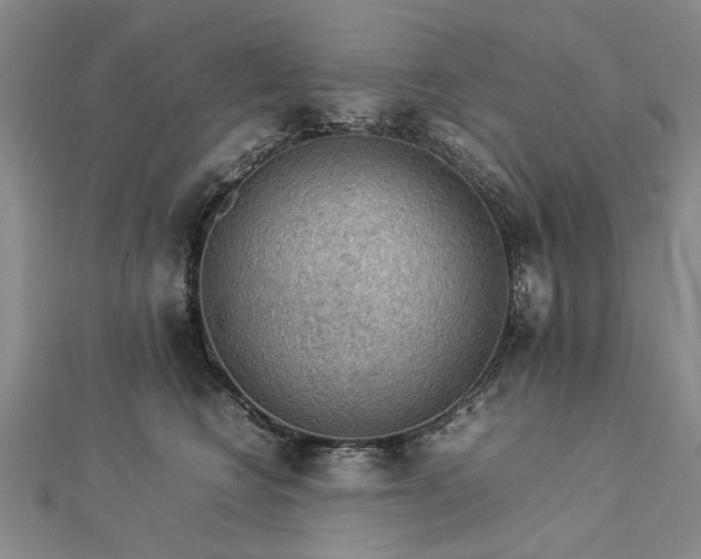 X0000112770566200908271644