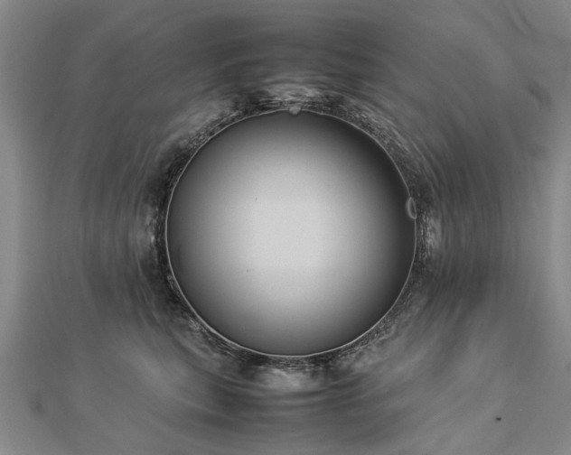 X0000112770567200908271644