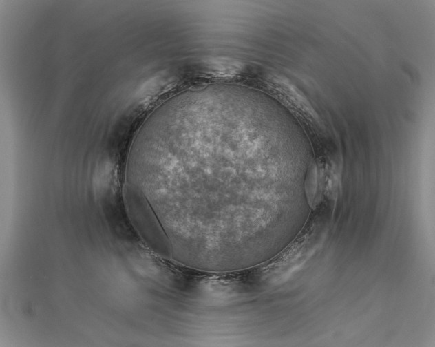 X0000112770568200908271644