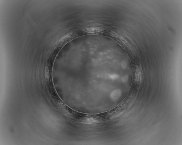 X0000112770569200908271644