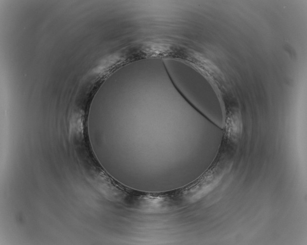 X0000112770570200908271644