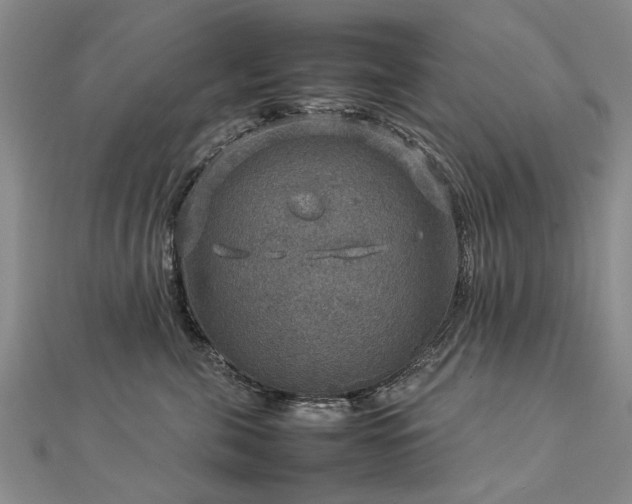 X0000112770571200908271644