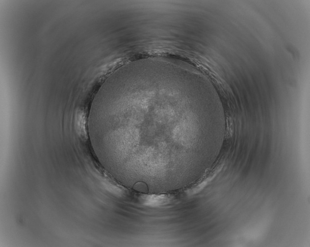 X0000112770575200908271644