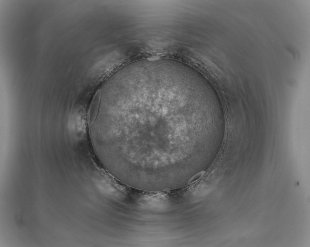 X0000112770576200908271644