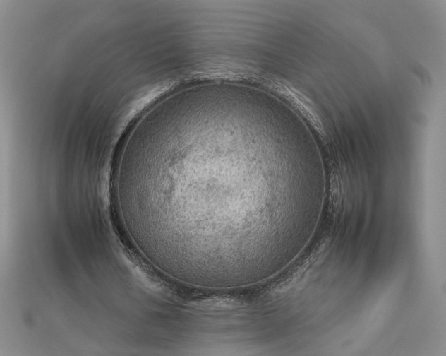 X0000112770578200908271643