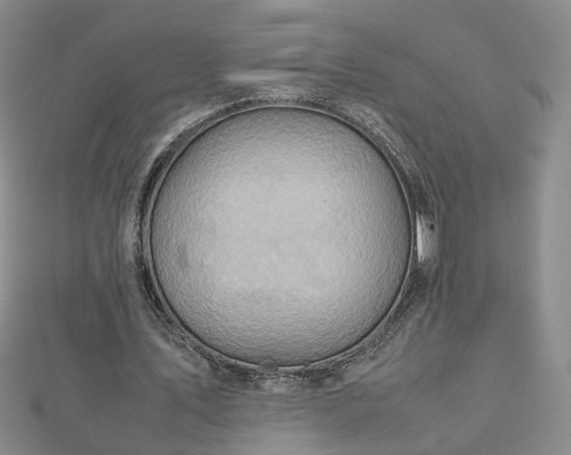 X0000112770579200908271643