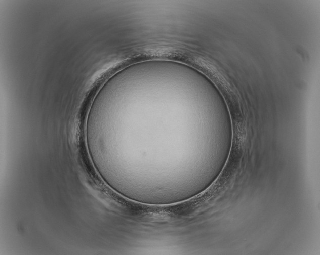 X0000112770583200908271643