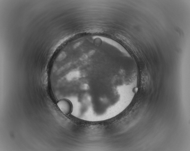 X0000112770584200908271643