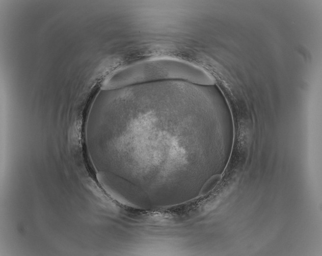 X0000112770585200908271643