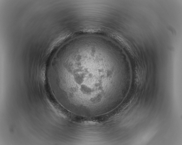X0000112770586200908271643