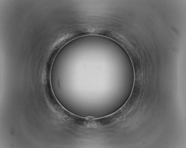X0000112770587200908271643